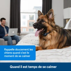 PetSafe ANTI ABOIEMENT SONORE RECHARGEABLE -Magasin De Plein Air anti aboiement sonore rechargeable 2