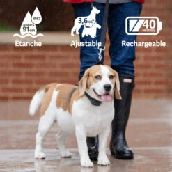 PetSafe ANTI ABOIEMENT SONORE RECHARGEABLE -Magasin De Plein Air anti aboiement sonore rechargeable 3
