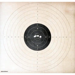 BALLE SANS PLOMB SPEED CALIBRE 12 X 5 -Magasin De Plein Air balle sans plomb speed calibre 12 x 5 6