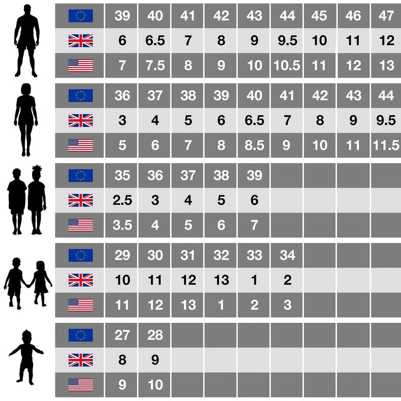 Regatta Chaussures De Marche SAMARIS LITE Femme (Gris / Gris Clair) 5 Regatta Chaussures De Marche SAMARIS LITE Femme (Gris / Gris Clair) – Image 5