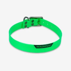 Collier Chien Vert Fluo 500