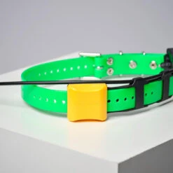 COLLIER SUPPLEMENTAIRE REPERAGE & DRESSAGE DOGTRA PATHFINDER V2. -Magasin De Plein Air collier supplementaire reperage and dressage dogtra pathfinder v2 6