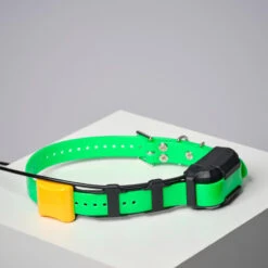 COLLIER SUPPLEMENTAIRE REPERAGE & DRESSAGE DOGTRA PATHFINDER V2. -Magasin De Plein Air collier supplementaire reperage and dressage dogtra pathfinder v2 7