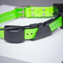 Collier Supplémentaire Repérage Et Dressage Pour Chien Garmin TT15X -Magasin De Plein Air collier supplementaire reperage et dressage pour chien garmin tt15x 5