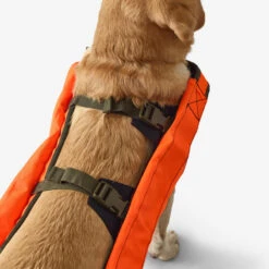 Gilet De Protection Pour Chien Supertrack -Magasin De Plein Air gilet de protection pour chien supertrack 4
