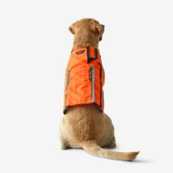 Gilet De Protection Pour Chien Supertrack -Magasin De Plein Air gilet de protection pour chien supertrack 5