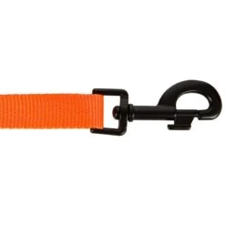 Laisse Chien Orange 100 15 Laisse Chien Orange 100 -Magasin De Plein Air laisse chien orange 100 5