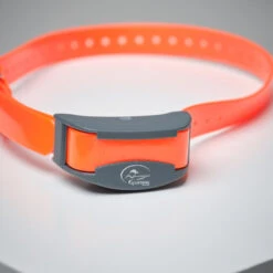 Pack Collier + Télécommande De Dressage Pour Chien Sportdog SD-875 -Magasin De Plein Air pack collier telecommande de dressage pour chien sportdog sd 875 3