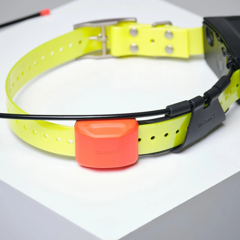 PACK COLLIER + TÉLÉCOMMANDE DE REPÉRAGE/DRESSAGE CHIEN GARMIN ALPHA 200 T5X 8 PACK COLLIER + TÉLÉCOMMANDE DE REPÉRAGE/DRESSAGE CHIEN GARMIN ALPHA 200 T5X – Image 8