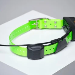 PACK COLLIER + TÉLÉCOMMANDE DE REPÉRAGE/DRESSAGE CHIEN GARMIN ALPHA 200 TT15X -Magasin De Plein Air pack collier telecommande de reperagedressage chien garmin alpha 200 tt15x 7