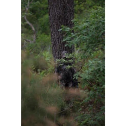 VESTE FEMME CHASSE SILENCIEUSE RESPIRANTE CAMOUFLAGE 500 15 VESTE FEMME CHASSE SILENCIEUSE RESPIRANTE CAMOUFLAGE 500 -Magasin De Plein Air veste femme chasse silencieuse respirante camouflage 500 5